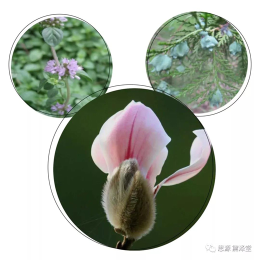 玉.jpg 玉.jpg