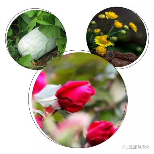 微信图片_20200515101812.jpg 微信图片_20200515101812.jpg