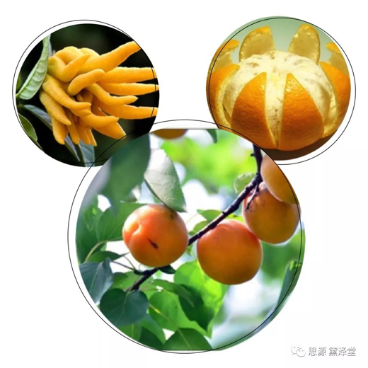 微信图片_20200515101858.jpg 微信图片_20200515101858.jpg