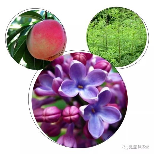 微信图片_20200515102031.jpg 微信图片_20200515102031.jpg